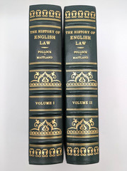 The History of English Law Pollock Maitland Legal Classics Library LEATHER Set