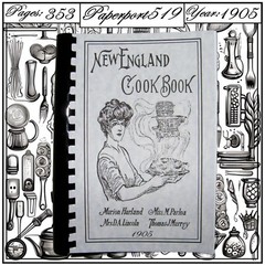 1905 The New England Vintage Cook Book 353 Pages