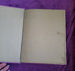 The Girls’ Book of Flower Fairies (HC, 2008) Frederick Warne (Crafts & Stories)