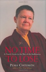 No Time to Lose: A Timely Guide to the Way of the Bodhisattva by Pema Chodron