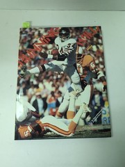 RUNNING WILD BY BEAU RIFFENBURGH DAVID BOSS NFL GREATEST RUNNERS 1ST 1984 KODAK.