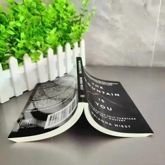 The Mountain Is You by Brianna Wiest Paperback Self-Help Book Free Shipping