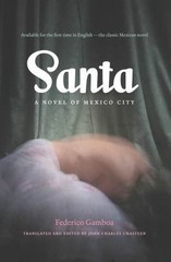 Santa: A Novel of Mexico City (Latin America in Translation/en Traducción/em Tra
