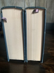 A Treasury of Sherlock Holmes /R L Stevenson Short Stories Collectors Library