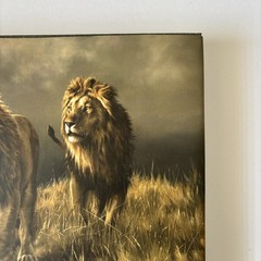 Artists for Conservation 2019 International Exhibit Nature in Art HC 1st Ed Book