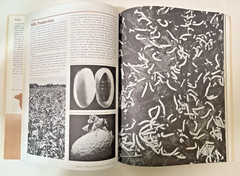 The Fabric Catalog Martin Hardingham 1978 Trade Paperback Illustrated 159 pages