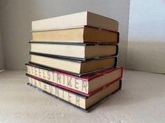 Marie Lu Lot 6 Books: Legend, Skyhunter, Steelstriker, Kingdom of Back, Stars &