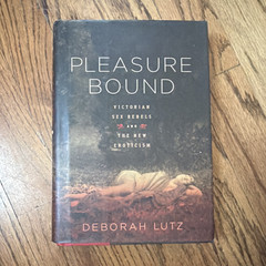 Pleasure Bound Victorian Sex Rebels New Eroticism Deborah Lutz 2011 1st ed