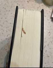 Jonathan Strange And Mr. Norrell Susanna Clarke First Edition 2nd Print HC DJ