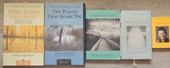 5 Pema Chodron Book Lot. Comfortable W/ Uncertainty, Places That Scare You…