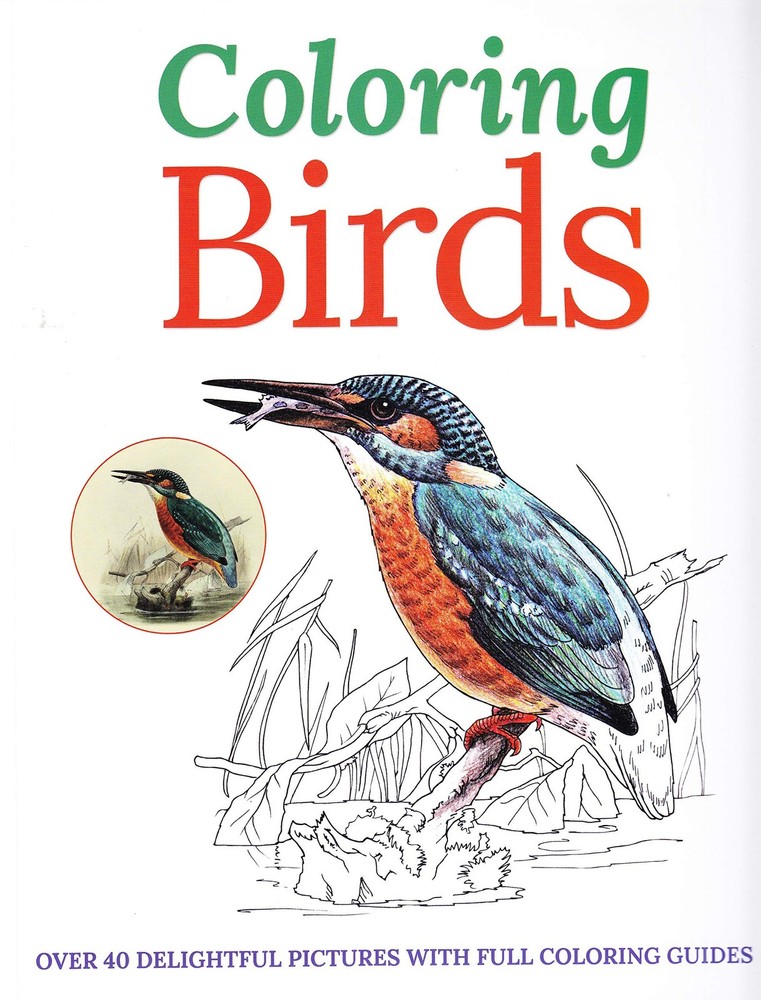 Coloring Birds – paperback Arcturus Publishing