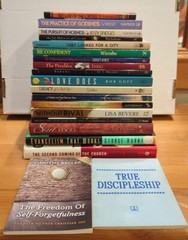 Lot 20 Christian Theology: Timothy Keller Warren Wiersbe N T Wright Lisa Bevere!