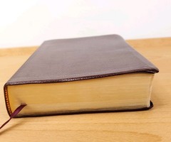 Zondervan The NIV Study Bible 10th Anniversary Edition 1995 Red Letter, Leather
